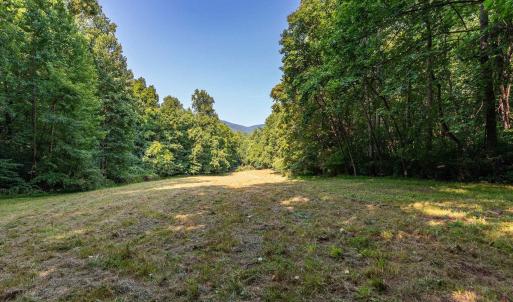 Photo #46 of 2476 ENNIS MOUNTAIN RD, AFTON, VA 114.8 acres