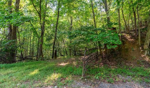 Photo #52 of 2476 ENNIS MOUNTAIN RD, AFTON, VA 114.8 acres