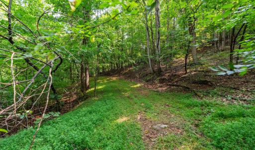 Photo #50 of 2476 ENNIS MOUNTAIN RD, AFTON, VA 114.8 acres