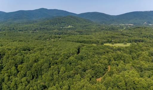 Photo #59 of 2476 ENNIS MOUNTAIN RD, AFTON, VA 114.8 acres
