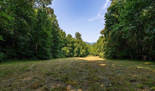 Photo #5 of 2476 ENNIS MOUNTAIN RD, AFTON, VA 114.8 acres