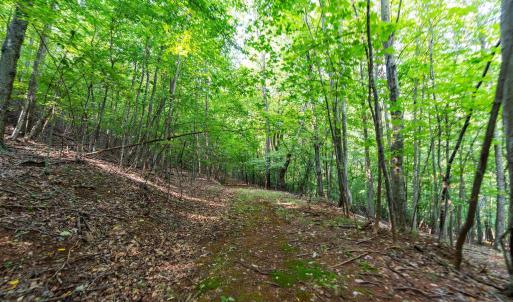 Photo #38 of 2476 ENNIS MOUNTAIN RD, AFTON, VA 114.8 acres