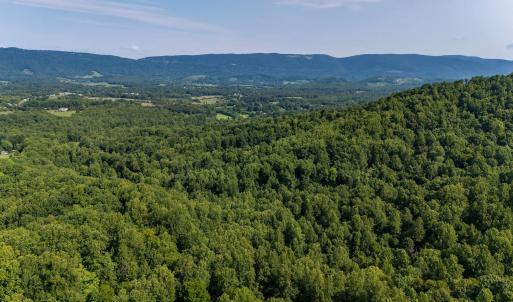 Photo #17 of 2476 ENNIS MOUNTAIN RD, AFTON, VA 114.8 acres