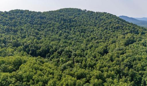 Photo #13 of 2476 ENNIS MOUNTAIN RD, AFTON, VA 114.8 acres