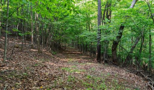 Photo #37 of 2476 ENNIS MOUNTAIN RD, AFTON, VA 114.8 acres