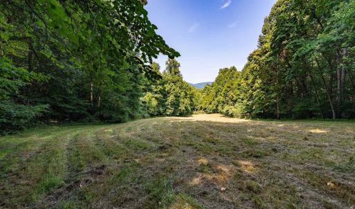 Photo #4 of 2476 ENNIS MOUNTAIN RD, AFTON, VA 114.8 acres