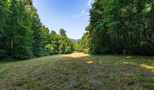 Photo #39 of 2476 ENNIS MOUNTAIN RD, AFTON, VA 114.8 acres