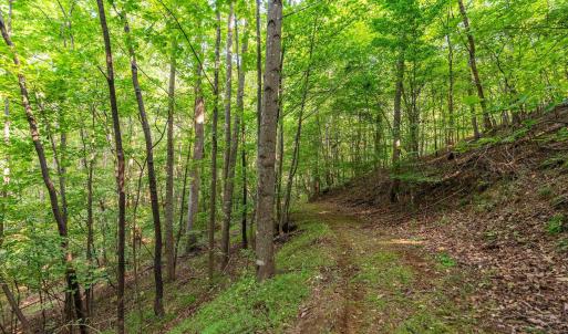 Photo #48 of 2476 ENNIS MOUNTAIN RD, AFTON, VA 114.8 acres
