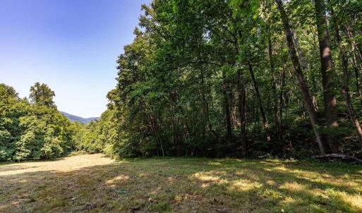 Photo #45 of 2476 ENNIS MOUNTAIN RD, AFTON, VA 114.8 acres