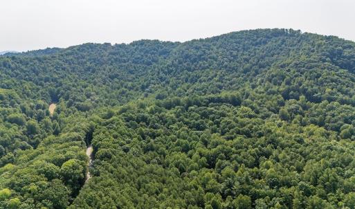 Photo #26 of 2476 ENNIS MOUNTAIN RD, AFTON, VA 114.8 acres
