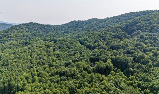 Photo #23 of 2476 ENNIS MOUNTAIN RD, AFTON, VA 114.8 acres