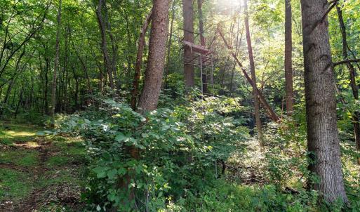 Photo #41 of 2476 ENNIS MOUNTAIN RD, AFTON, VA 114.8 acres