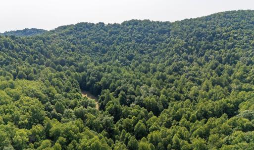 Photo #11 of 2476 ENNIS MOUNTAIN RD, AFTON, VA 114.8 acres