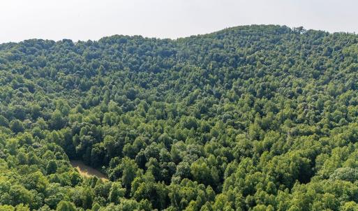 Photo #28 of 2476 ENNIS MOUNTAIN RD, AFTON, VA 114.8 acres