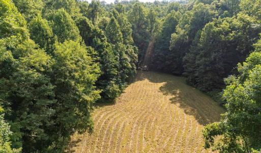 Photo #1 of 2476 ENNIS MOUNTAIN RD, AFTON, VA 114.8 acres