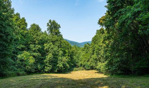 Photo #40 of 2476 ENNIS MOUNTAIN RD, AFTON, VA 114.8 acres