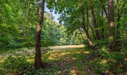 Photo #47 of 2476 ENNIS MOUNTAIN RD, AFTON, VA 114.8 acres