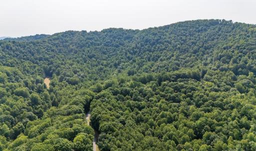 Photo #27 of 2476 ENNIS MOUNTAIN RD, AFTON, VA 114.8 acres
