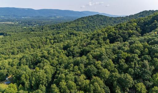 Photo #21 of 2476 ENNIS MOUNTAIN RD, AFTON, VA 114.8 acres