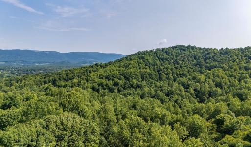 Photo #31 of 2476 ENNIS MOUNTAIN RD, AFTON, VA 114.8 acres