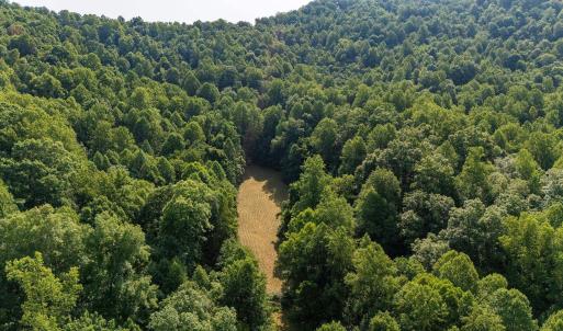 Photo #2 of 2476 ENNIS MOUNTAIN RD, AFTON, VA 114.8 acres