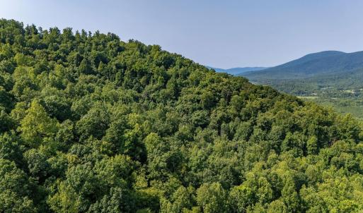 Photo #53 of 2476 ENNIS MOUNTAIN RD, AFTON, VA 114.8 acres