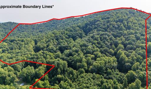 Photo #12 of 2476 ENNIS MOUNTAIN RD, AFTON, VA 114.8 acres