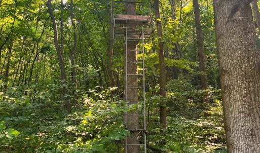 Photo #8 of 2476 ENNIS MOUNTAIN RD, AFTON, VA 114.8 acres