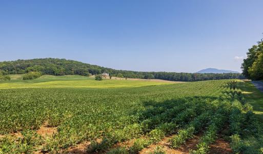 Photo #12 of TBD DOE HILL RD, PORT REPUBLIC, VA 28.0 acres