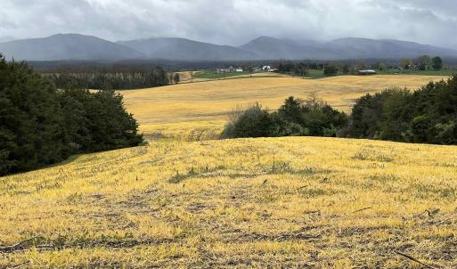 Photo #11 of TBD DOE HILL RD, PORT REPUBLIC, VA 28.0 acres