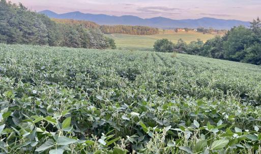 Photo #3 of TBD DOE HILL RD, PORT REPUBLIC, VA 28.0 acres