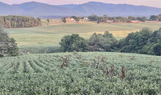 Photo #10 of TBD DOE HILL RD, PORT REPUBLIC, VA 28.0 acres