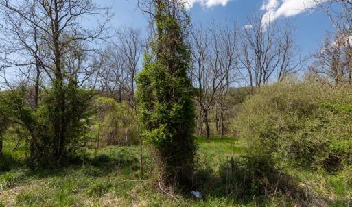 Photo #65 of 490 OLD GREENVILLE RD, STAUNTON, VA 4.1 acres