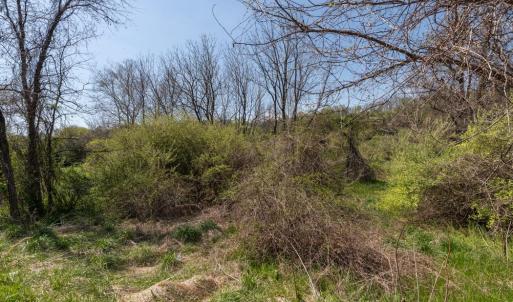 Photo #64 of 490 OLD GREENVILLE RD, STAUNTON, VA 4.1 acres