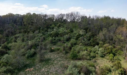 Photo #48 of 490 OLD GREENVILLE RD, STAUNTON, VA 4.1 acres