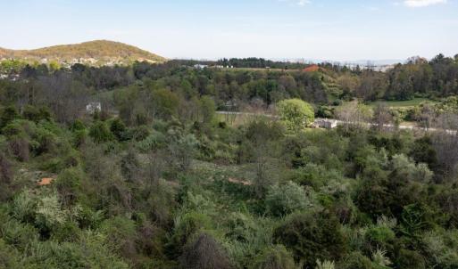 Photo #52 of 490 OLD GREENVILLE RD, STAUNTON, VA 4.1 acres