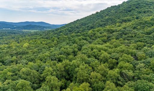 Photo #21 of 96 Acres BLACKWELLS HOLLOW RD, CROZET, VA 96.0 acres