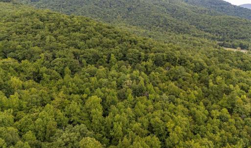 Photo #8 of 96 Acres BLACKWELLS HOLLOW RD, CROZET, VA 96.0 acres