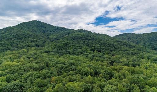 Photo #30 of 96 Acres BLACKWELLS HOLLOW RD, CROZET, VA 96.0 acres