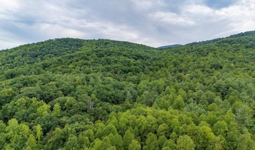 Photo #29 of 96 Acres BLACKWELLS HOLLOW RD, CROZET, VA 96.0 acres