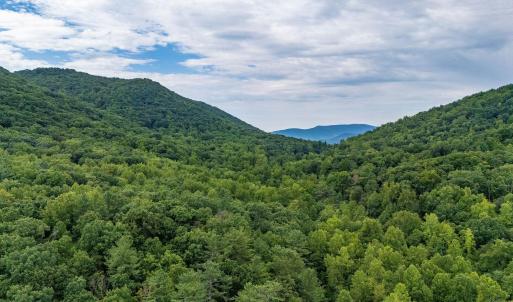 Photo #28 of 96 Acres BLACKWELLS HOLLOW RD, CROZET, VA 96.0 acres