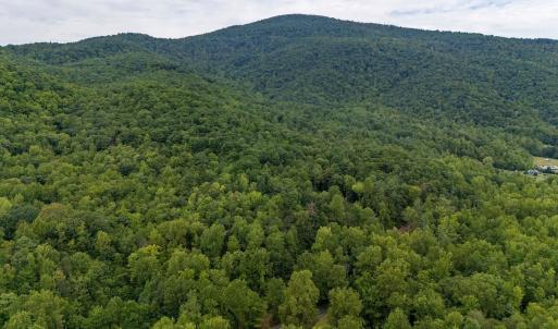 Photo #12 of 96 Acres BLACKWELLS HOLLOW RD, CROZET, VA 96.0 acres