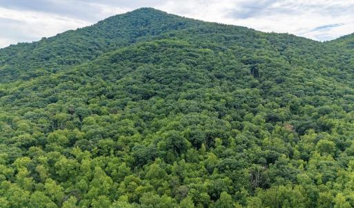 Photo #5 of 96 Acres BLACKWELLS HOLLOW RD, CROZET, VA 96.0 acres