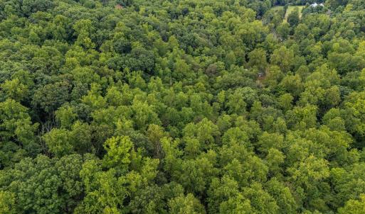 Photo #20 of 96 Acres BLACKWELLS HOLLOW RD, CROZET, VA 96.0 acres