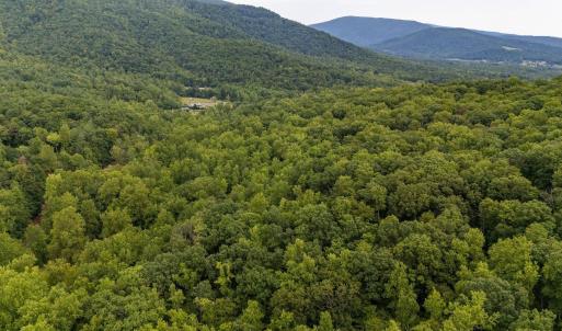 Photo #11 of 96 Acres BLACKWELLS HOLLOW RD, CROZET, VA 96.0 acres