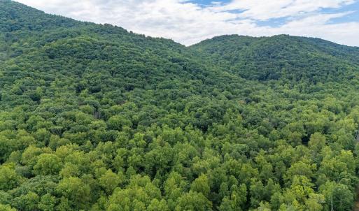 Photo #24 of 96 Acres BLACKWELLS HOLLOW RD, CROZET, VA 96.0 acres