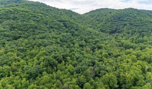Photo #4 of 96 Acres BLACKWELLS HOLLOW RD, CROZET, VA 96.0 acres