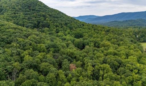 Photo #15 of 96 Acres BLACKWELLS HOLLOW RD, CROZET, VA 96.0 acres