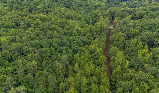 Photo #27 of 96 Acres BLACKWELLS HOLLOW RD, CROZET, VA 96.0 acres