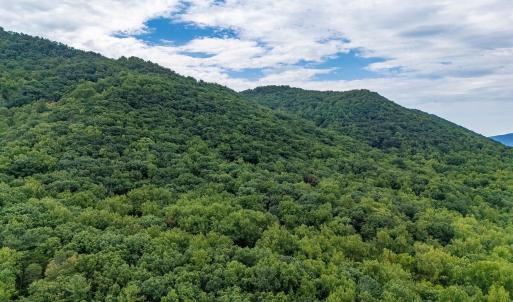 Photo #34 of 96 Acres BLACKWELLS HOLLOW RD, CROZET, VA 96.0 acres